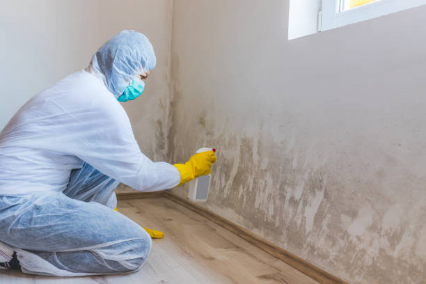 Crawl Space Mold Removal in Valley, NE