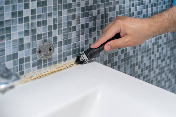 Office Mold Removal Services in Valley, NE